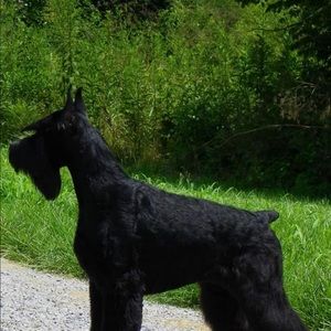 Meet your Posher, Mary anne